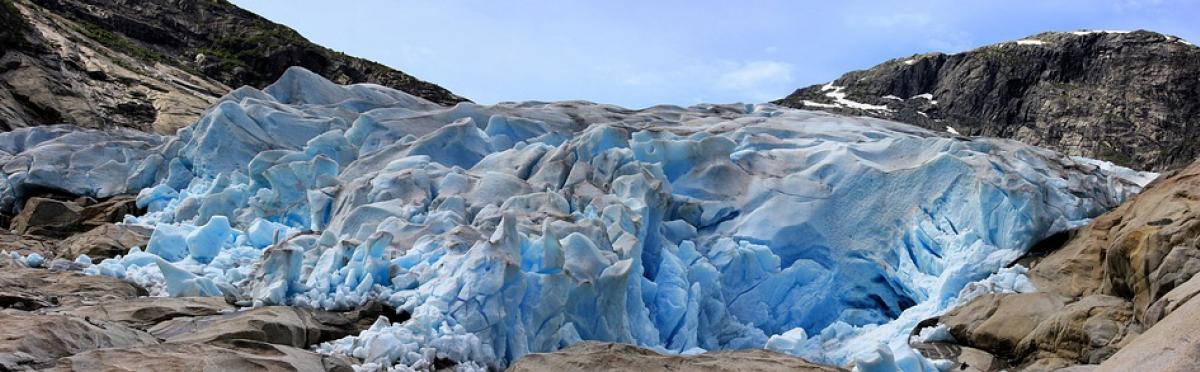 Call for projects climate and biodiversity